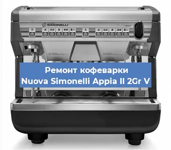 Чистка кофемашины Nuova Simonelli Appia II 2Gr V от накипи в Воронеже